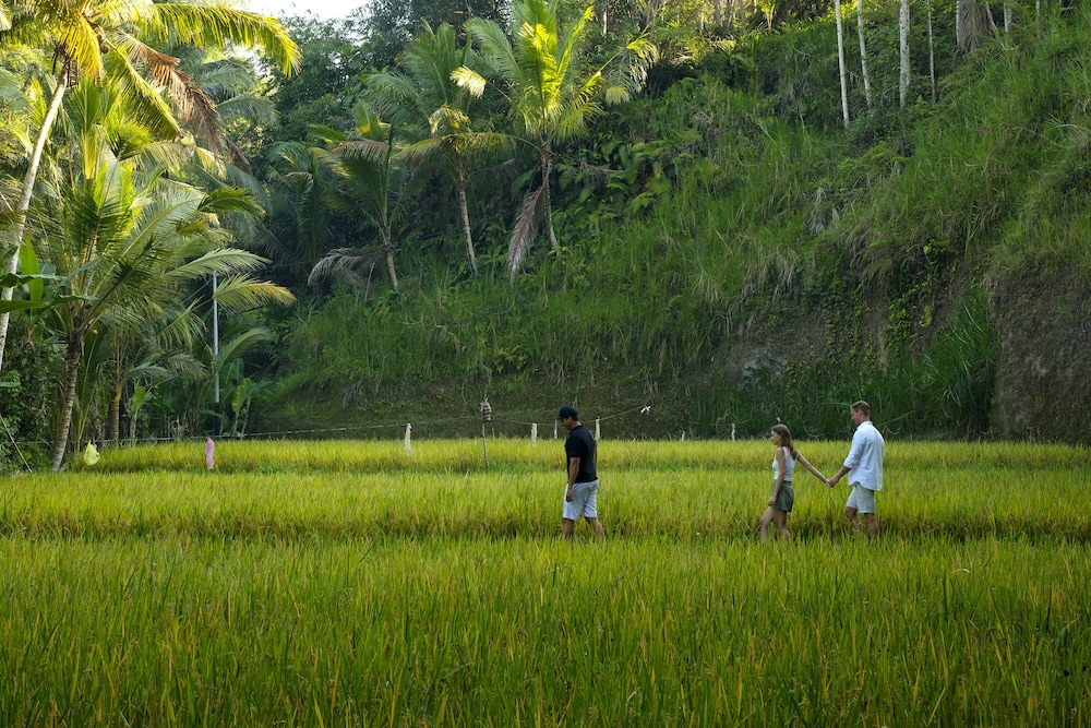 Kayumanis Ubud Private Villas Spa 44/50