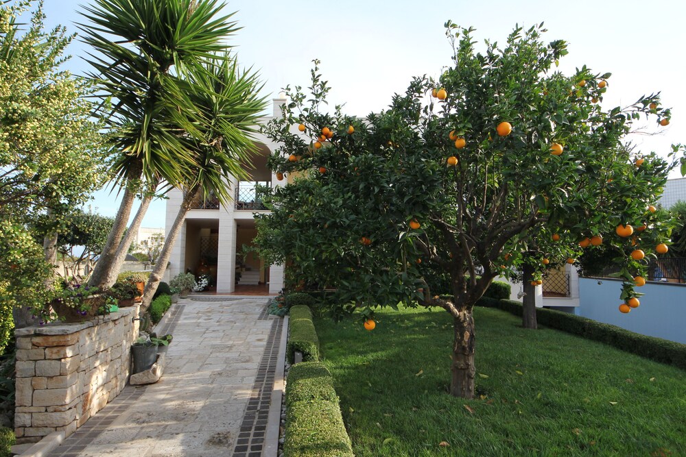 La Rosa Blu Bed and Breakfast 52/59
