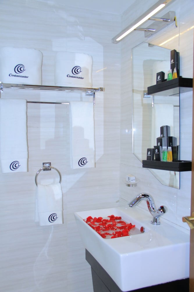 Bole Ambassador Hotel 46/50