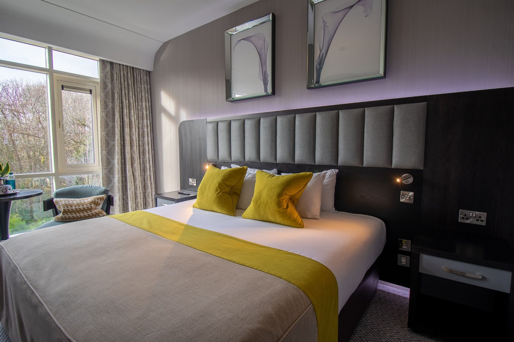 DELUXE, KING BED