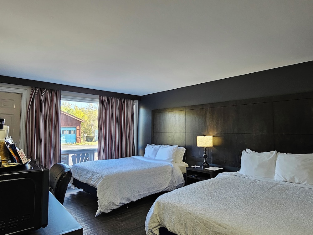 Room, 2 Queen Beds, Pet Friendly