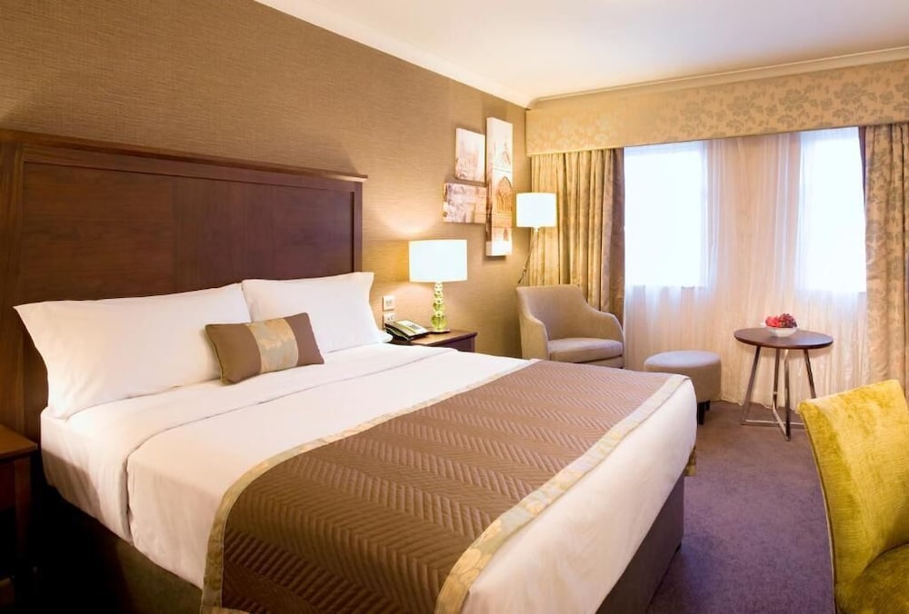 Mercure Southgate Hotel 17/49