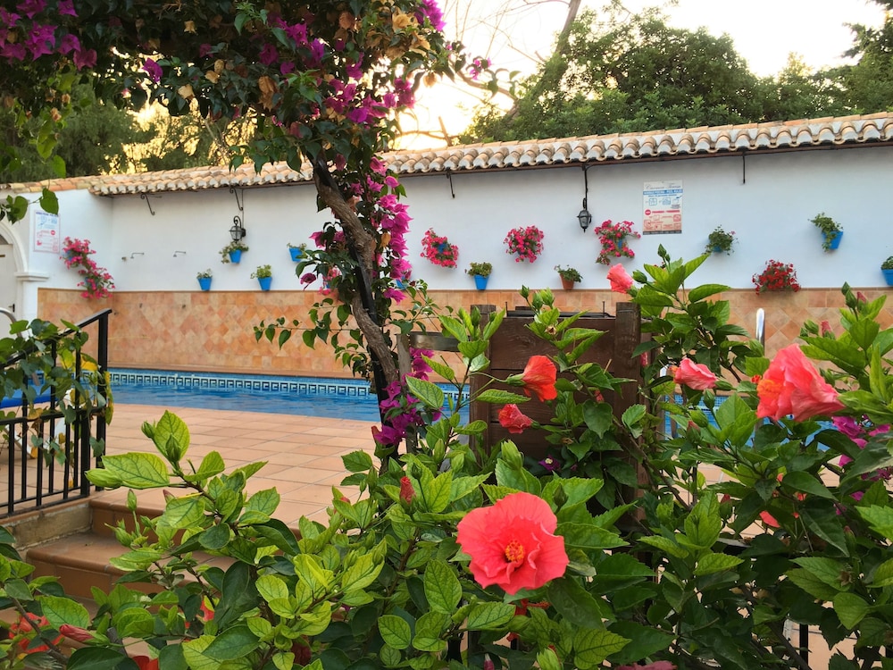 Hotel Carmen Teresa 3/72
