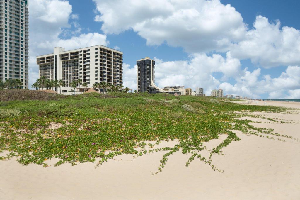2 Bedrooms, Condo, King and Queen Bed, Pool and Ocean View