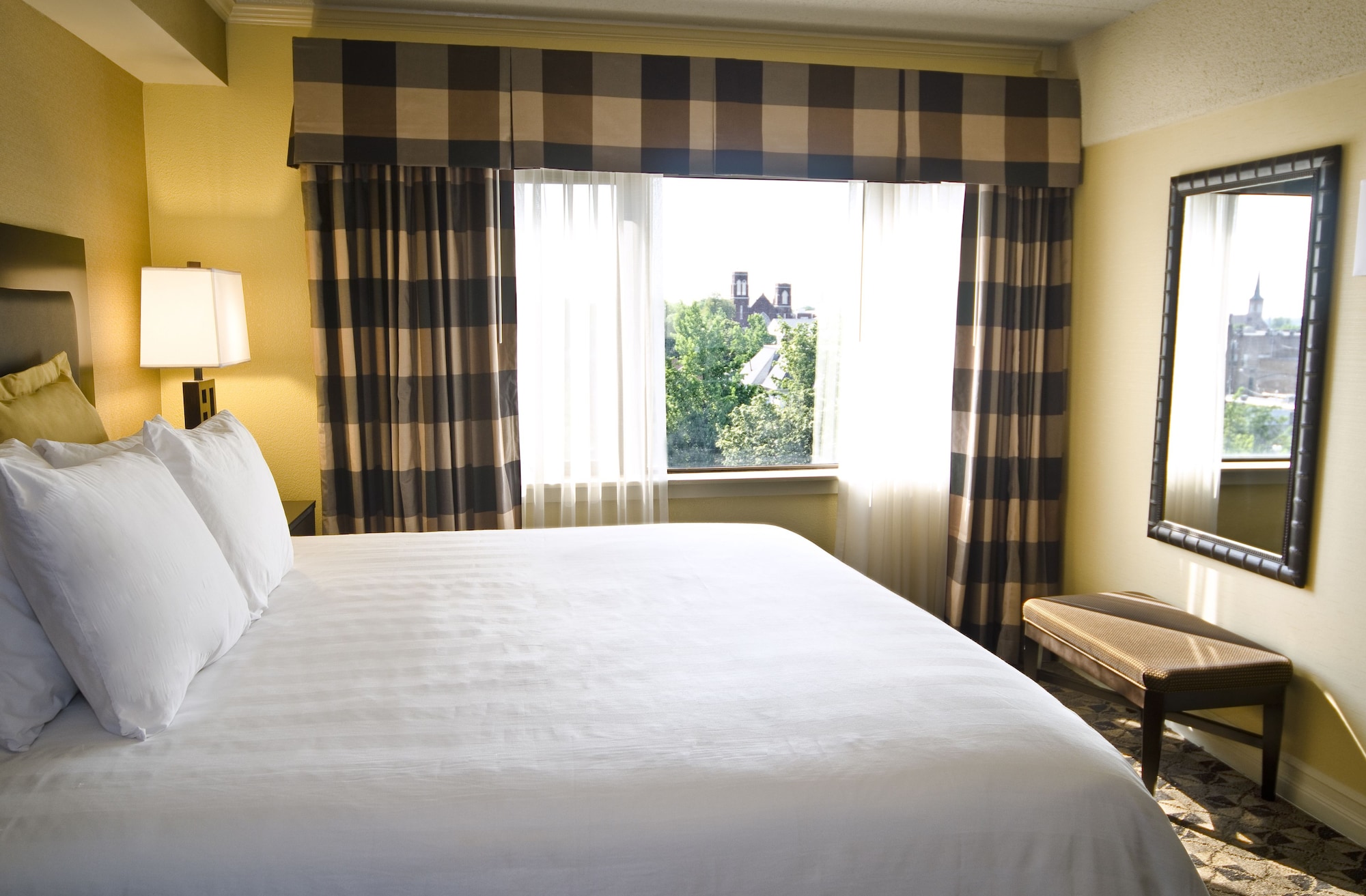 Suite, Queen Bed, City View, Sofa, Accessible