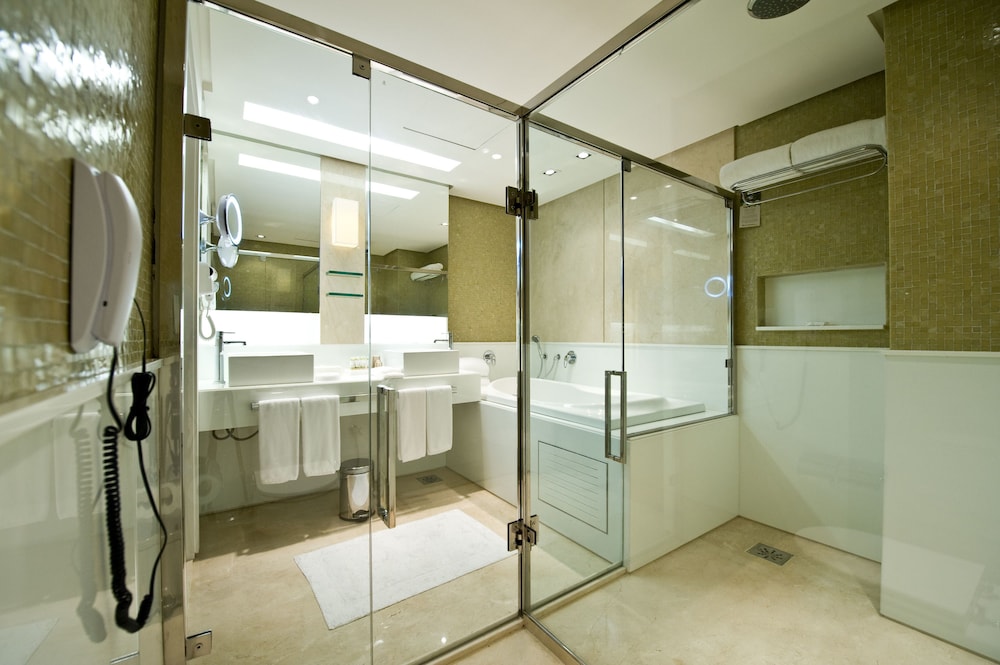 Hotel Gran Marquise 18/73