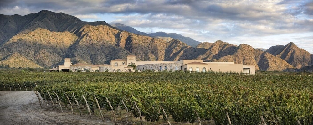 Piattelli Wine Resort 34/50