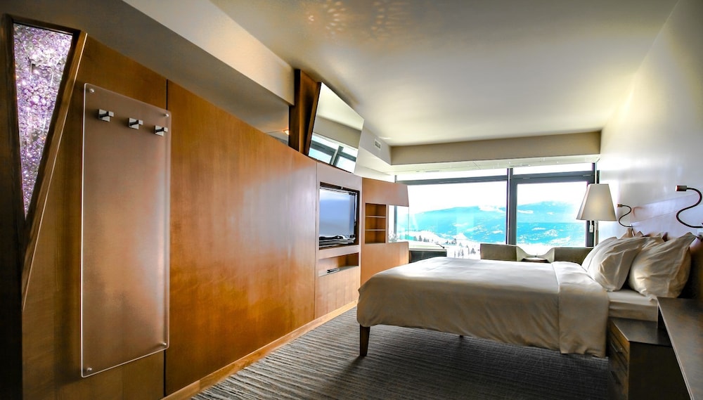 Sparkling Hill Wellness Resort And Spa 3/32