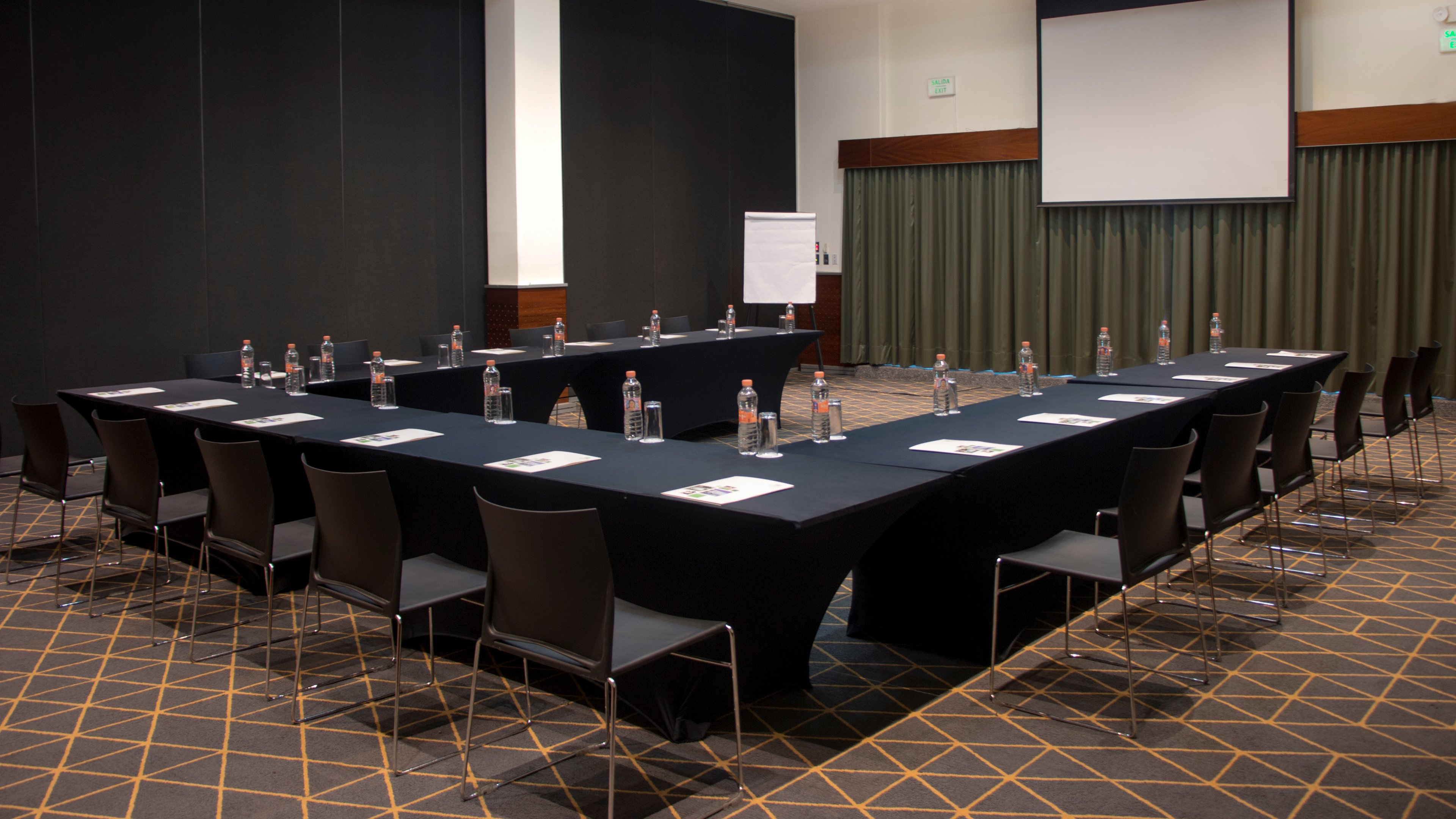 Holiday Inn San Luis Potosi-Quijote 37/50