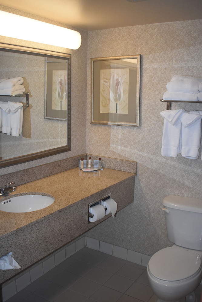 غرفة كبيرة بسرير كينج، Wingate By Wyndham Charlotte Airport 4/6