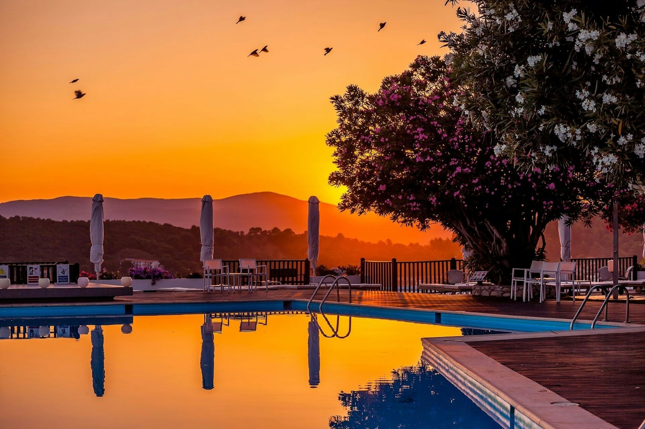 Skiathos Palace Hotel 41/51
