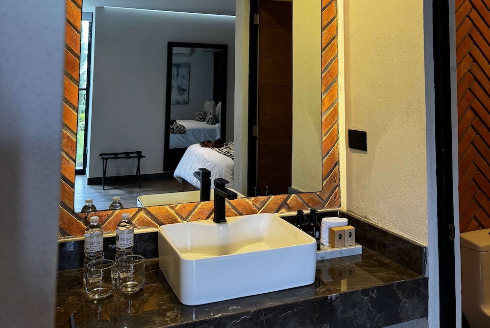 Esplendor by Wyndham San Luis Potosi Monarca 54/54