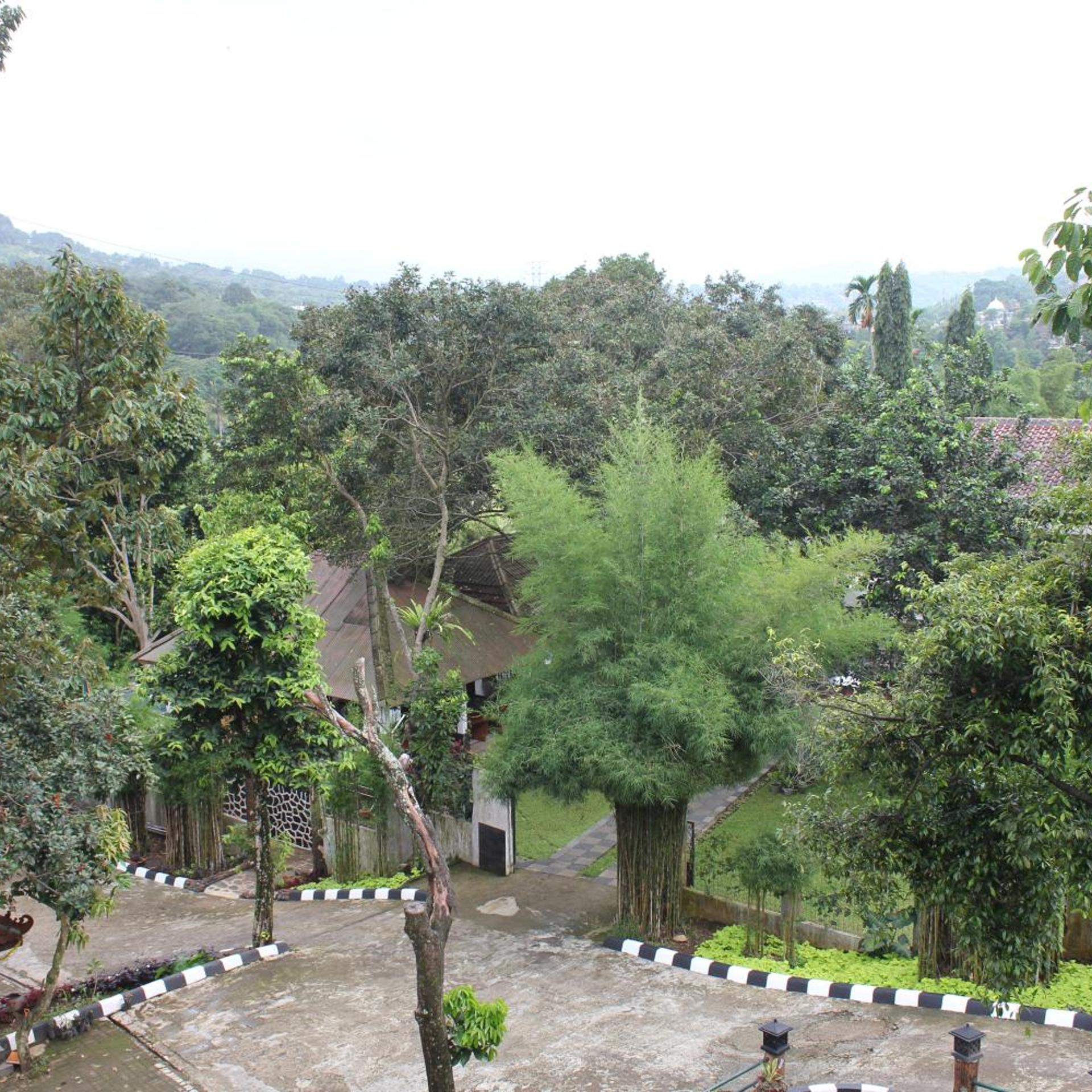 Villa Sawah Hotel and Resort 24/29
