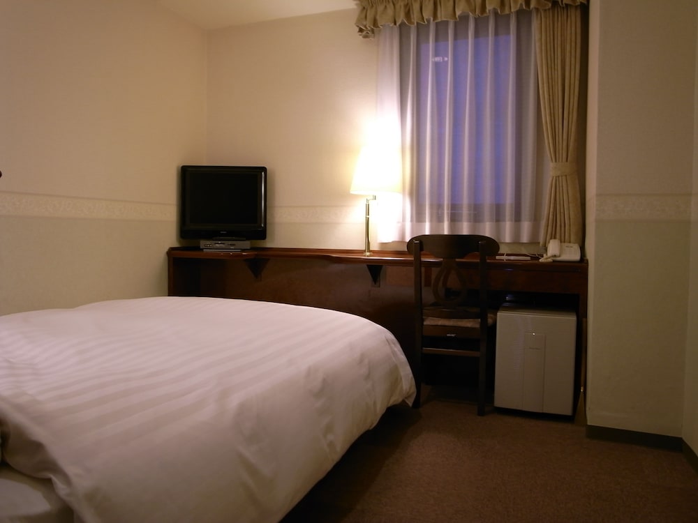 Ueno Terminal Hotel 12/53