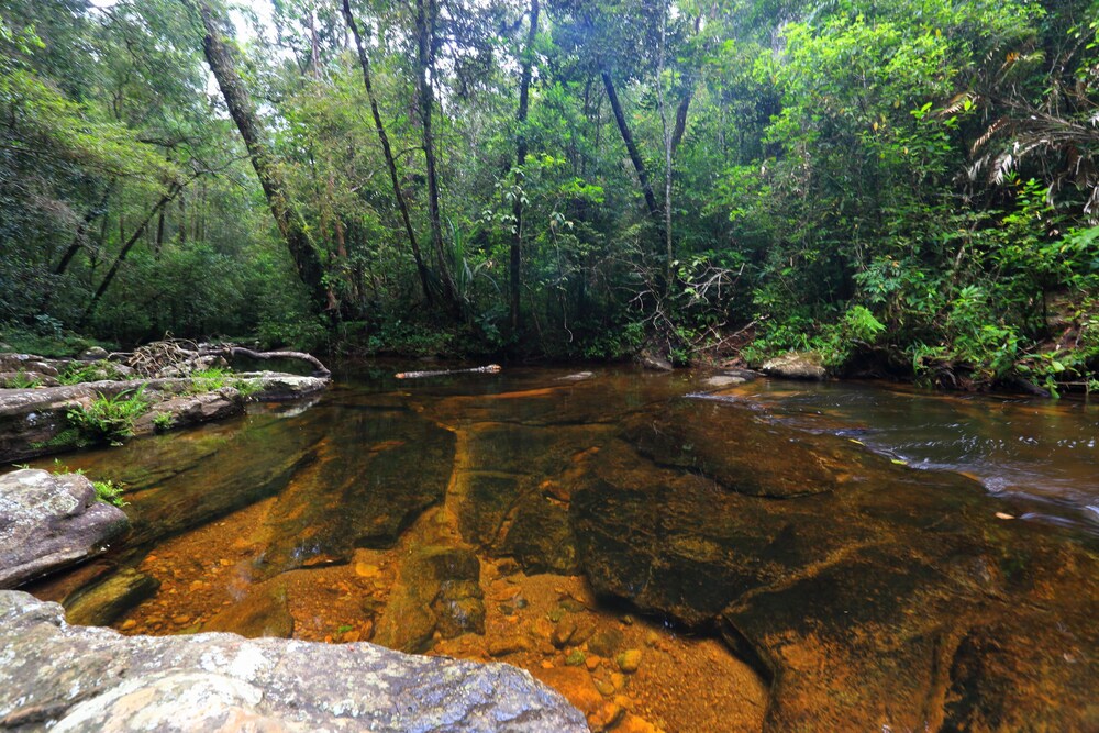 Rainforest Eco Lodge 32/41
