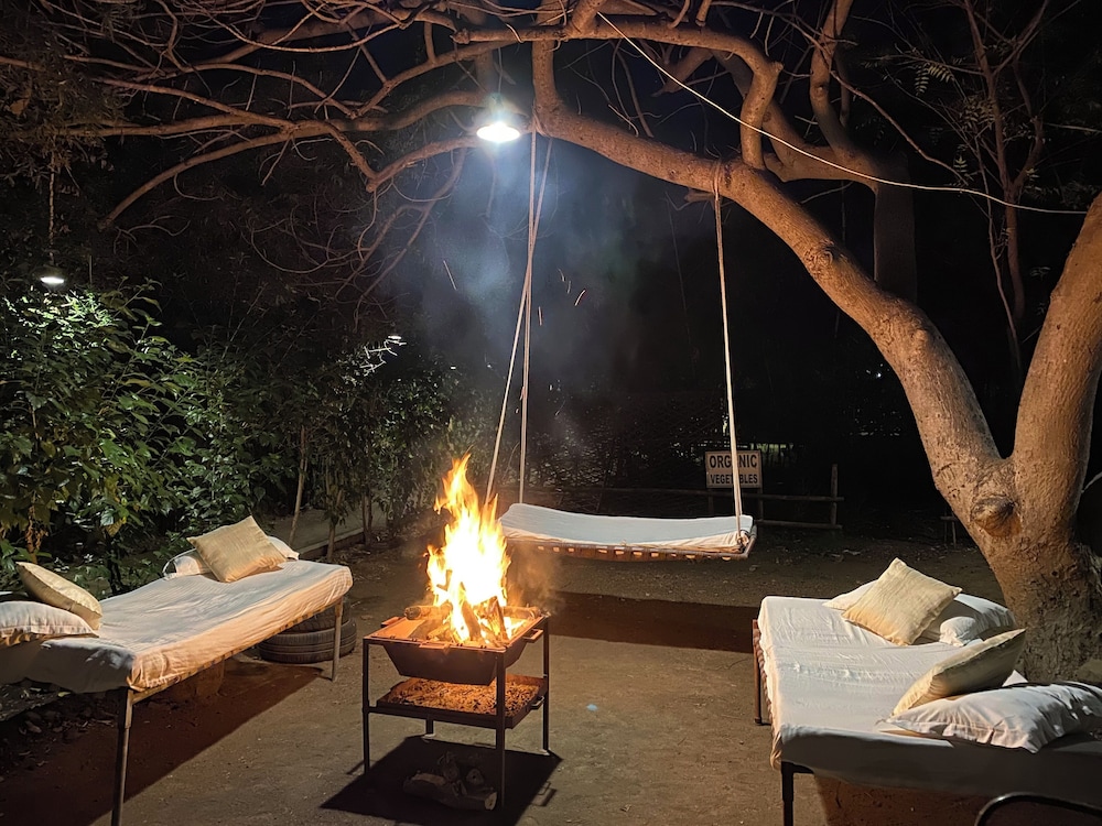 Asiatic Lion Lodge 18/50