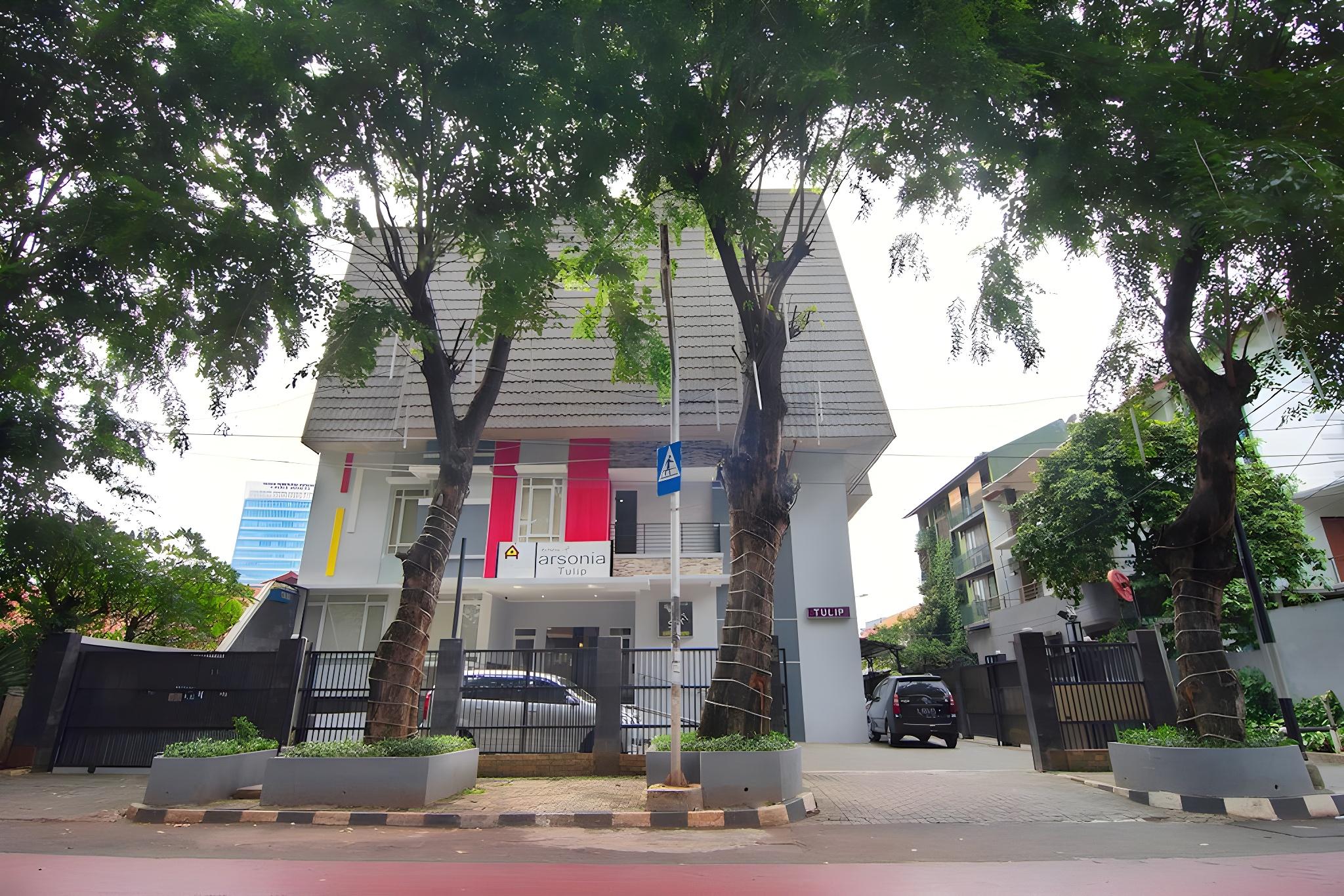 House Of Arsonia Tulip 40/45