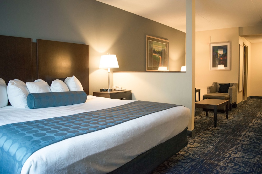 Best Western Plus Waynesboro Inn & Suites Conference Center 11/33