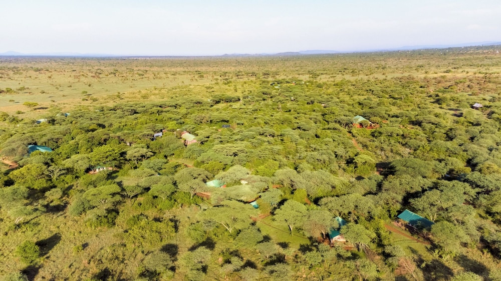 IKOMA TENTED CAMP 44/50