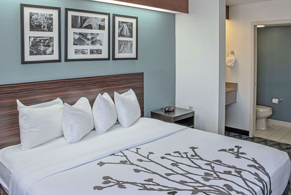 ROOM, KING BED, ACCESSIBLE