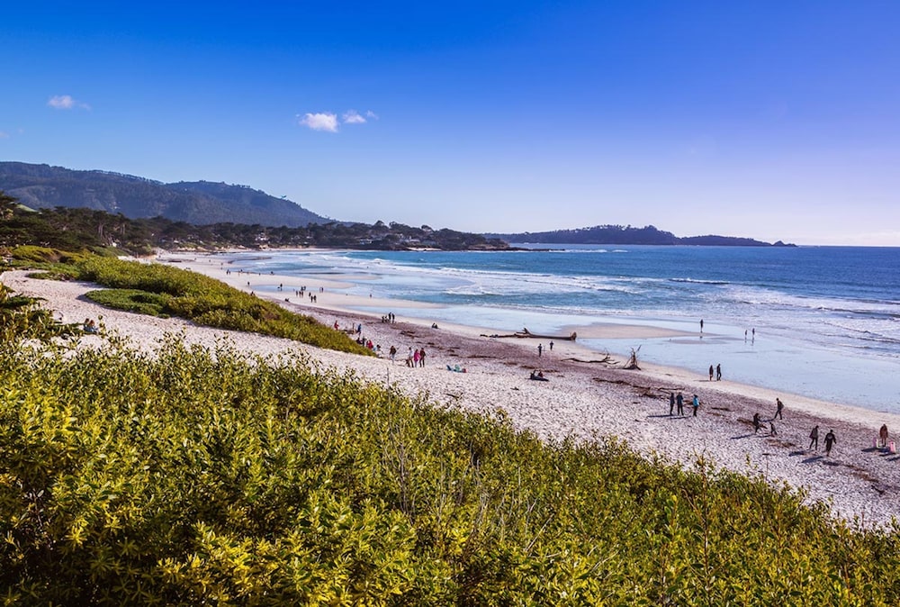 Tradewinds Carmel 25/51