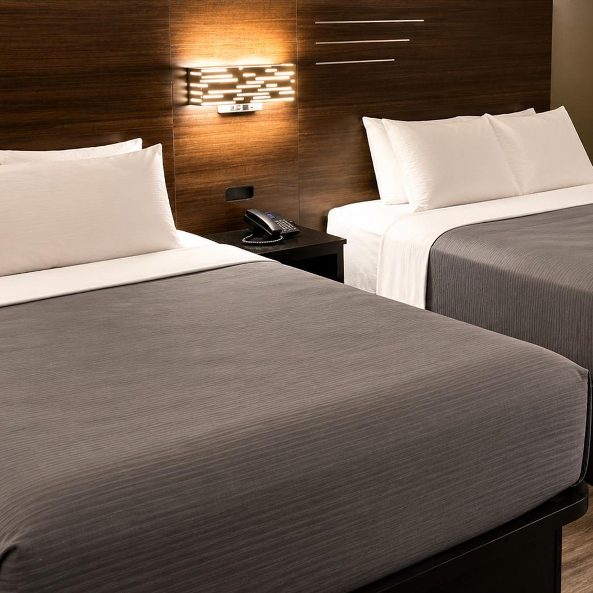 Lx Hotel, SureStay Collection by Best Western 23/48
