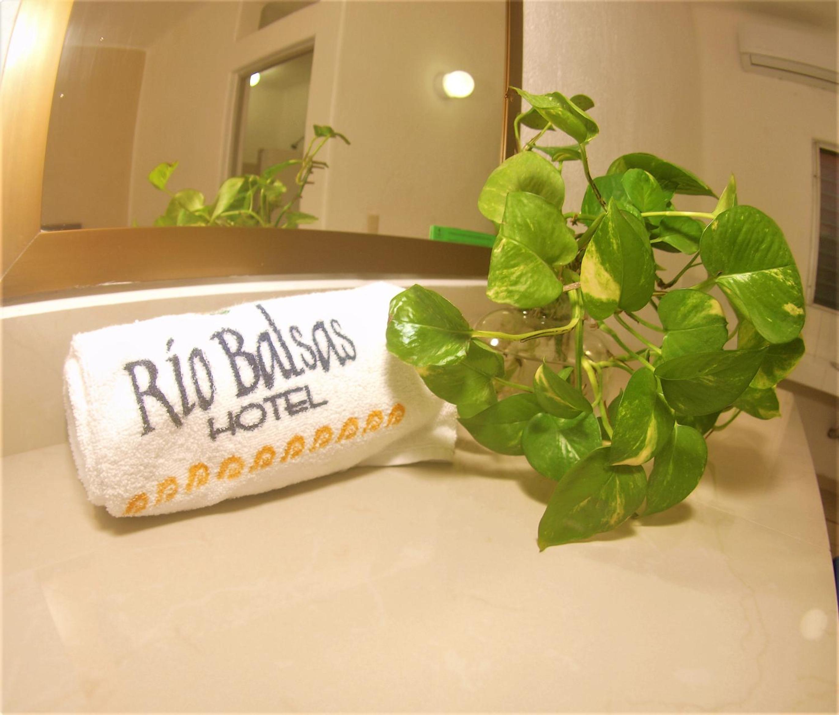 Hotel Rio Balsas 17/42