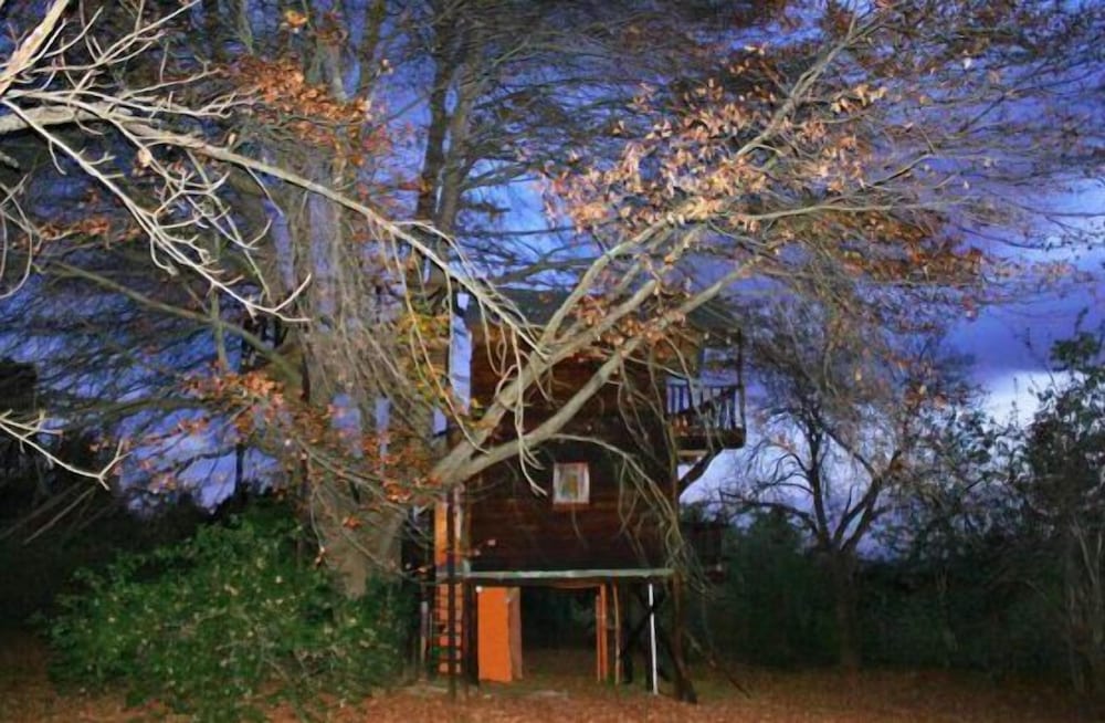Sycamore Avenue Treehouses 38/50