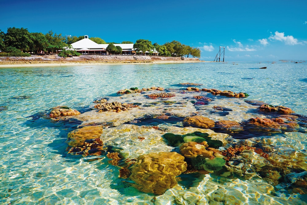 Heron Island Resort 58/70