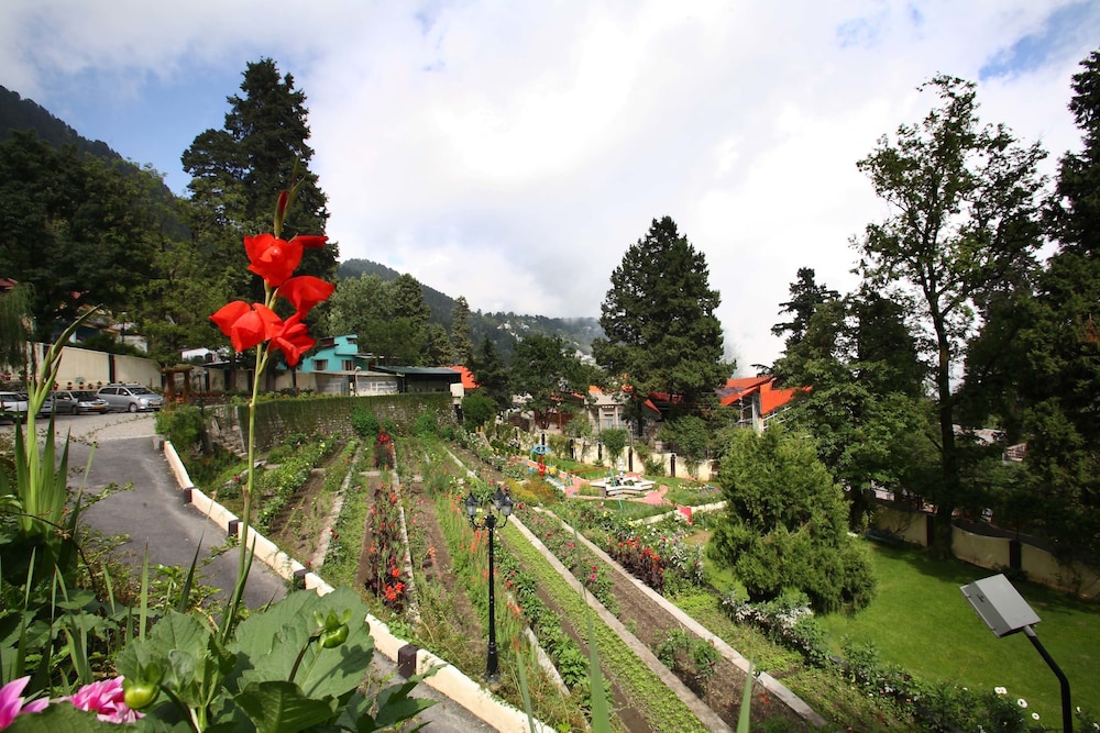 Shervani Hilltop 49/50