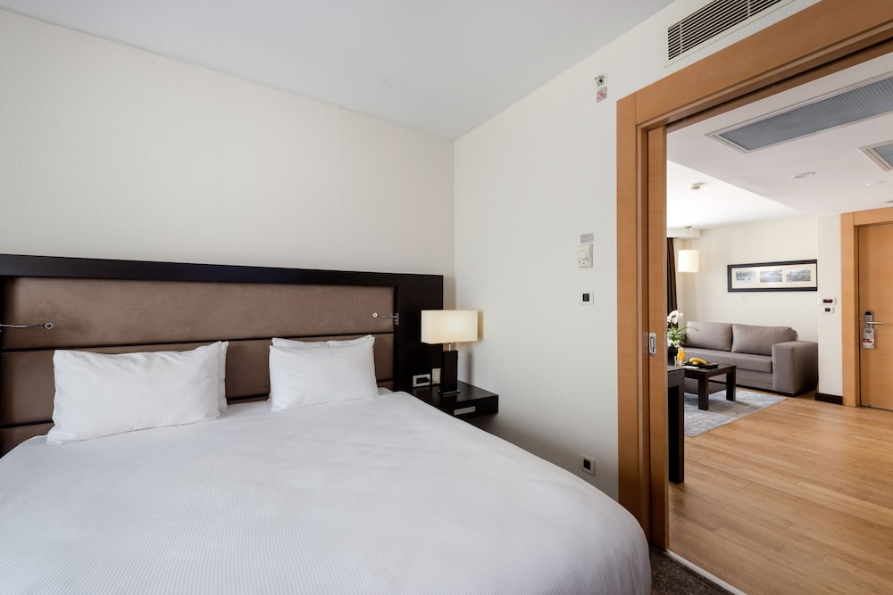 Ramada Plaza By Wyndham Istanbul City Center 13/66