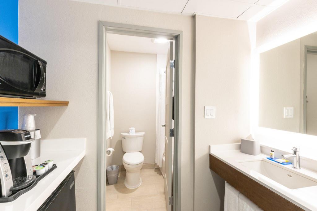 Leisure, King Bed، Holiday Inn Express Anaheim West 2/2