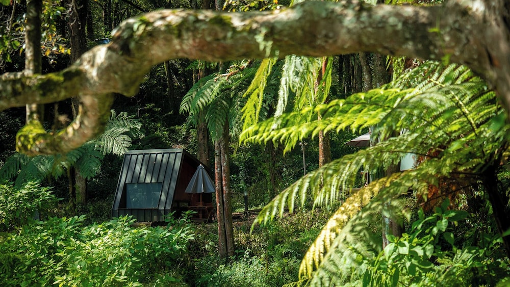 Bobocabin Ranca Upas 38/49