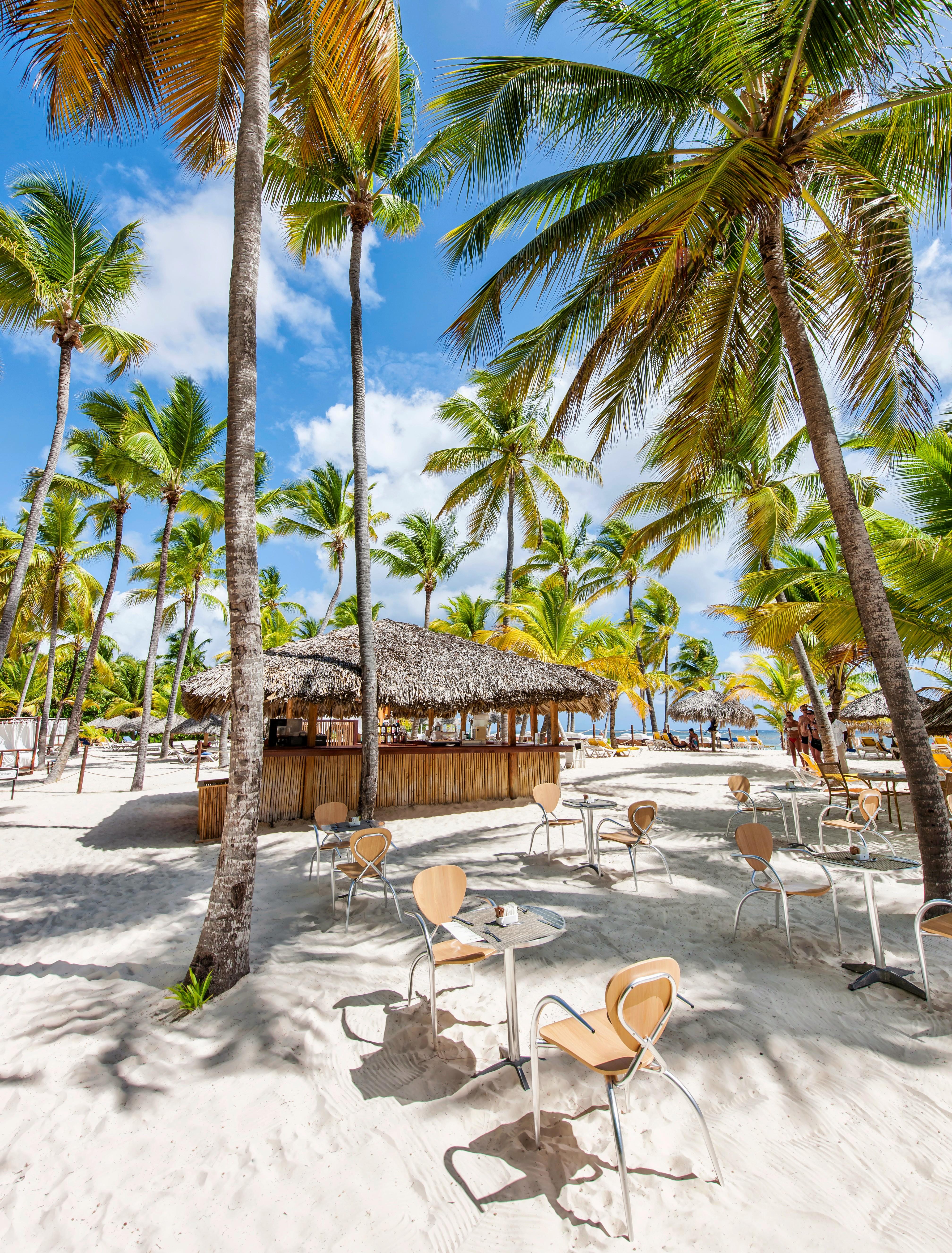 Catalonia Bavaro 13/50