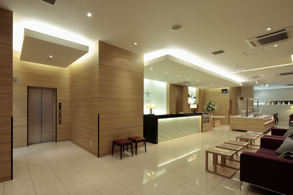 Candeo Hotels Shizuoka Shimada 5/50