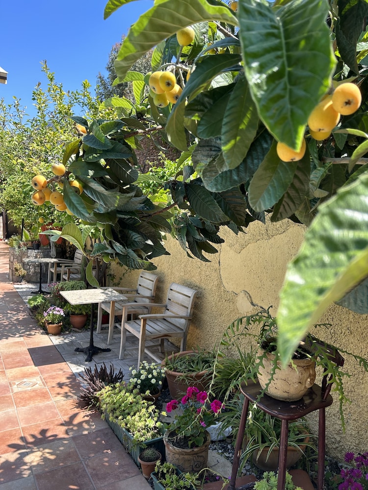 Villa Danlin Hotel 36/44