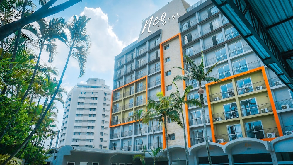 PALMLEAF GRAND PREMIUM 2/52