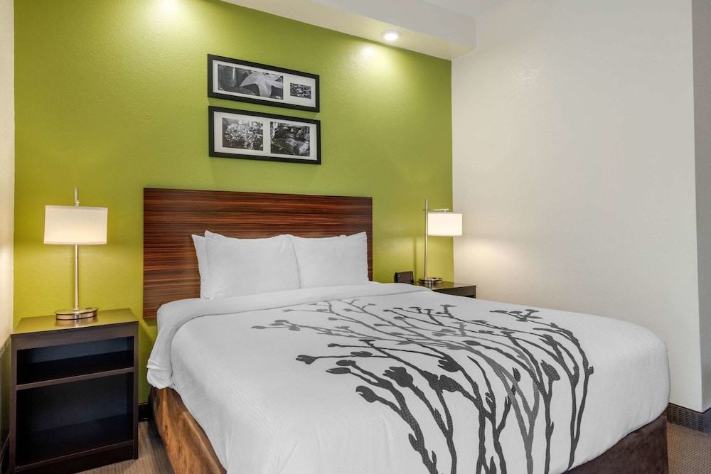 Spot X Hotel Wesley Chapel - Tampa Area 19/53