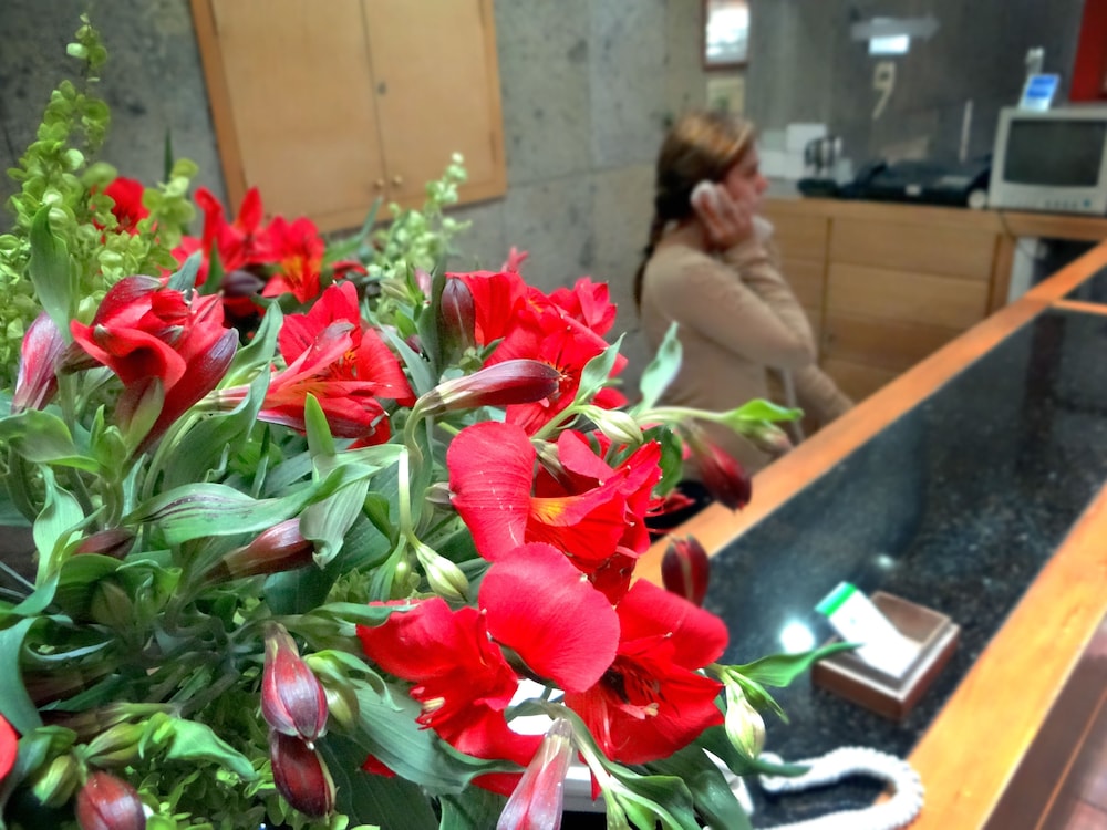 Oliva Plaza Hotel 9/50
