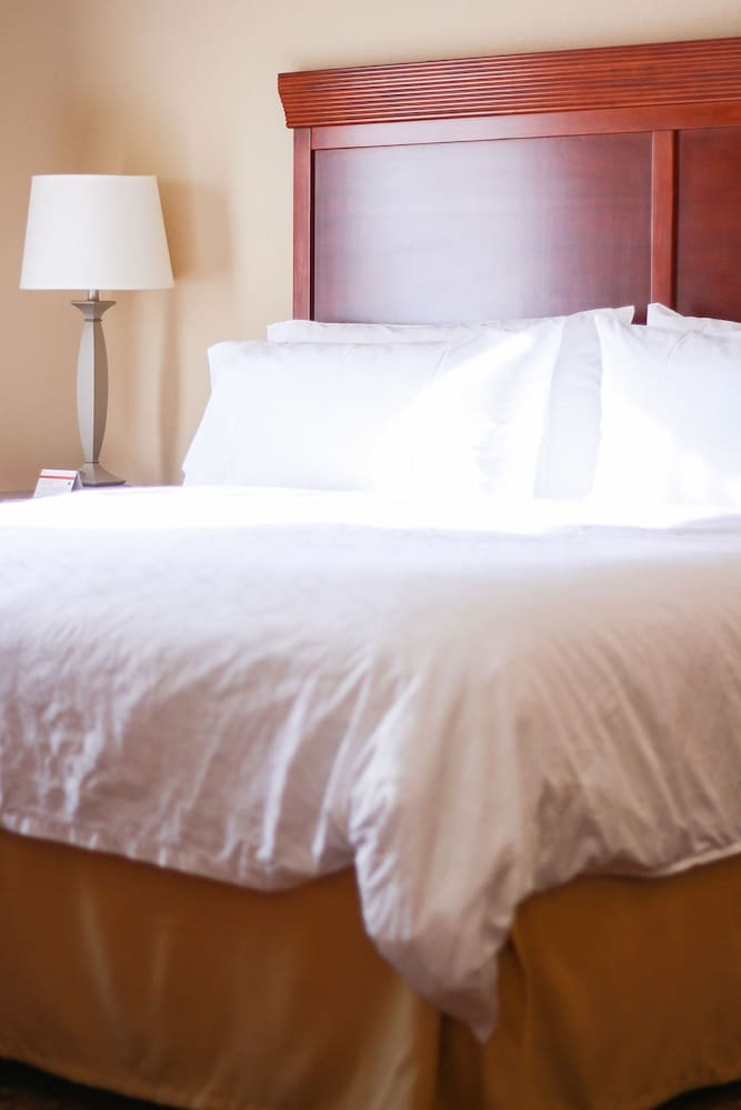 Holiday Inn Express Hotel And Suites Center Tx 34/76