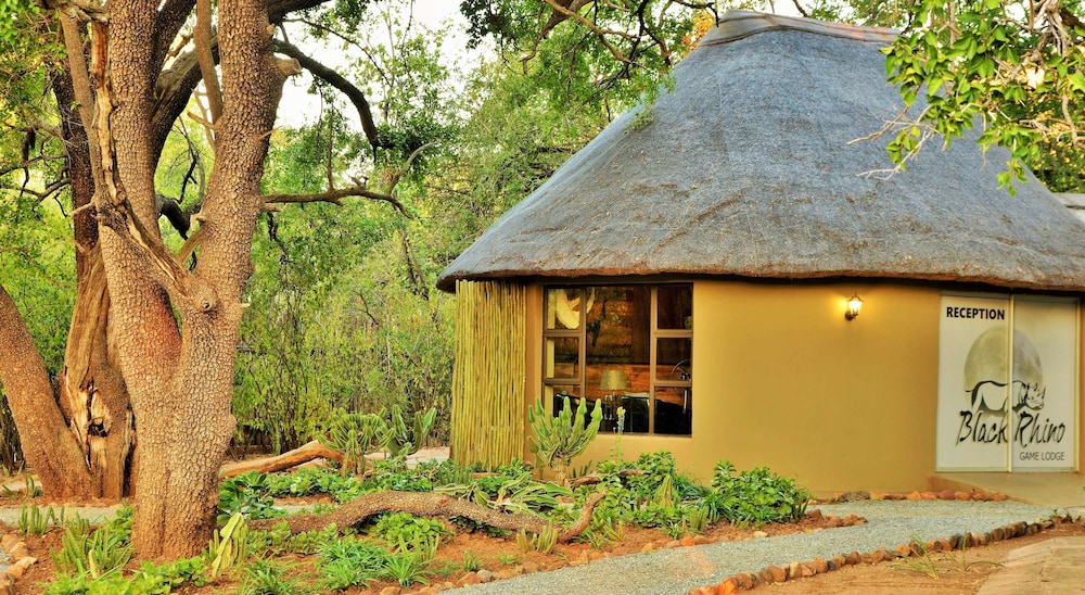 Black Rhino Game Lodge 3/69