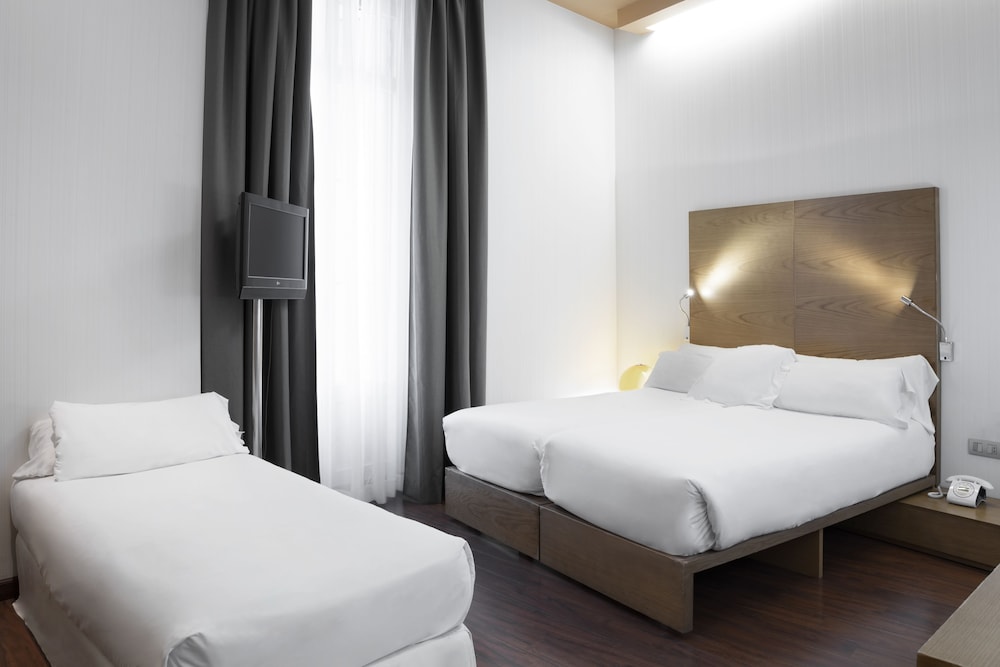 Petit Palace Plaza Malaga 7/44