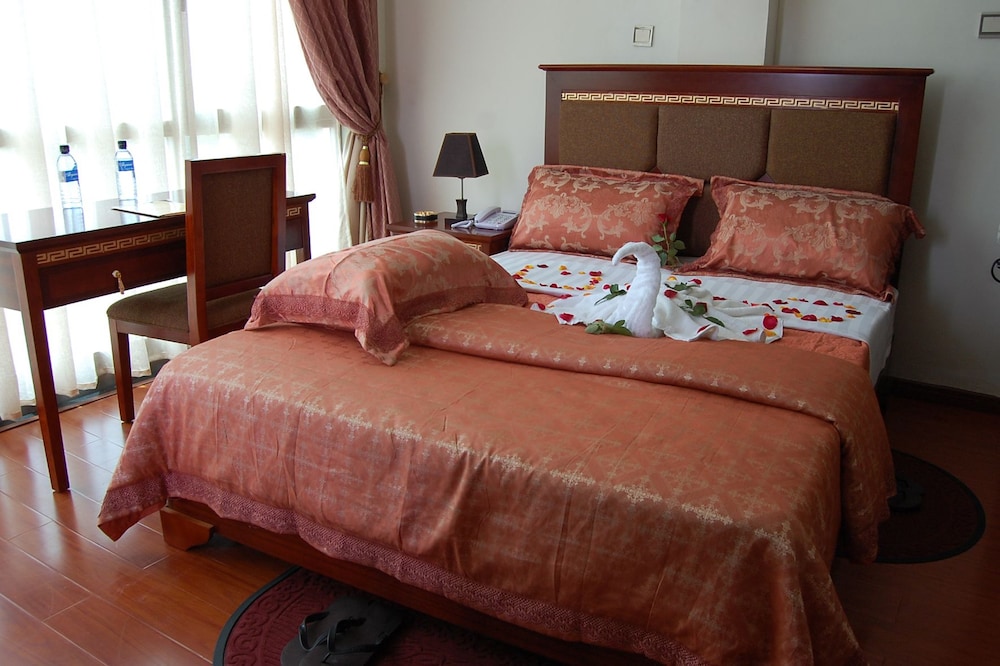 Addis Amba Hotel 13/23