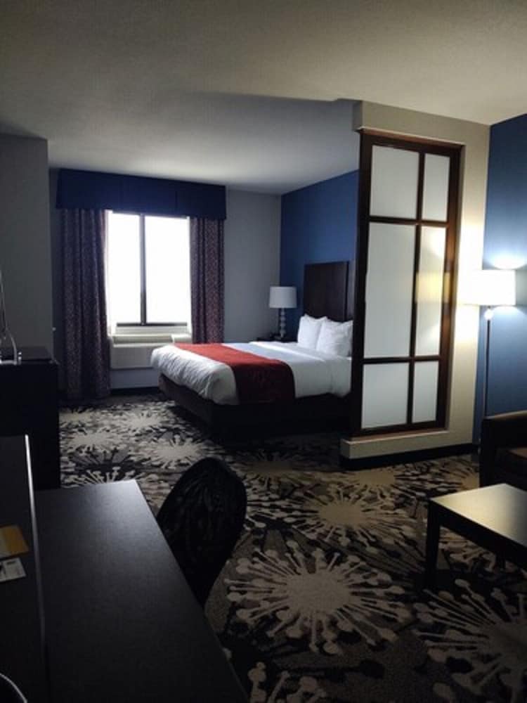 Comfort Suites Greenville 28/42