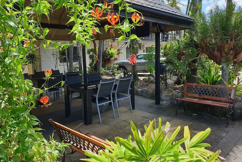 CAIRNS CITY PALMS 53/59