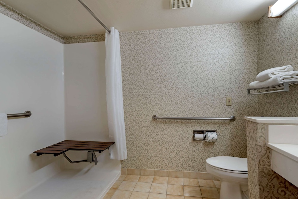 Econo Lodge Inn & Suites Flowood - Jackson Northeast 35/35