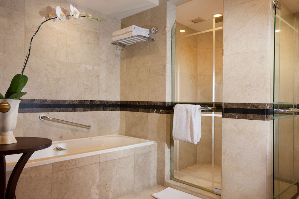 Hyatt Regency Yogyakarta 30/76