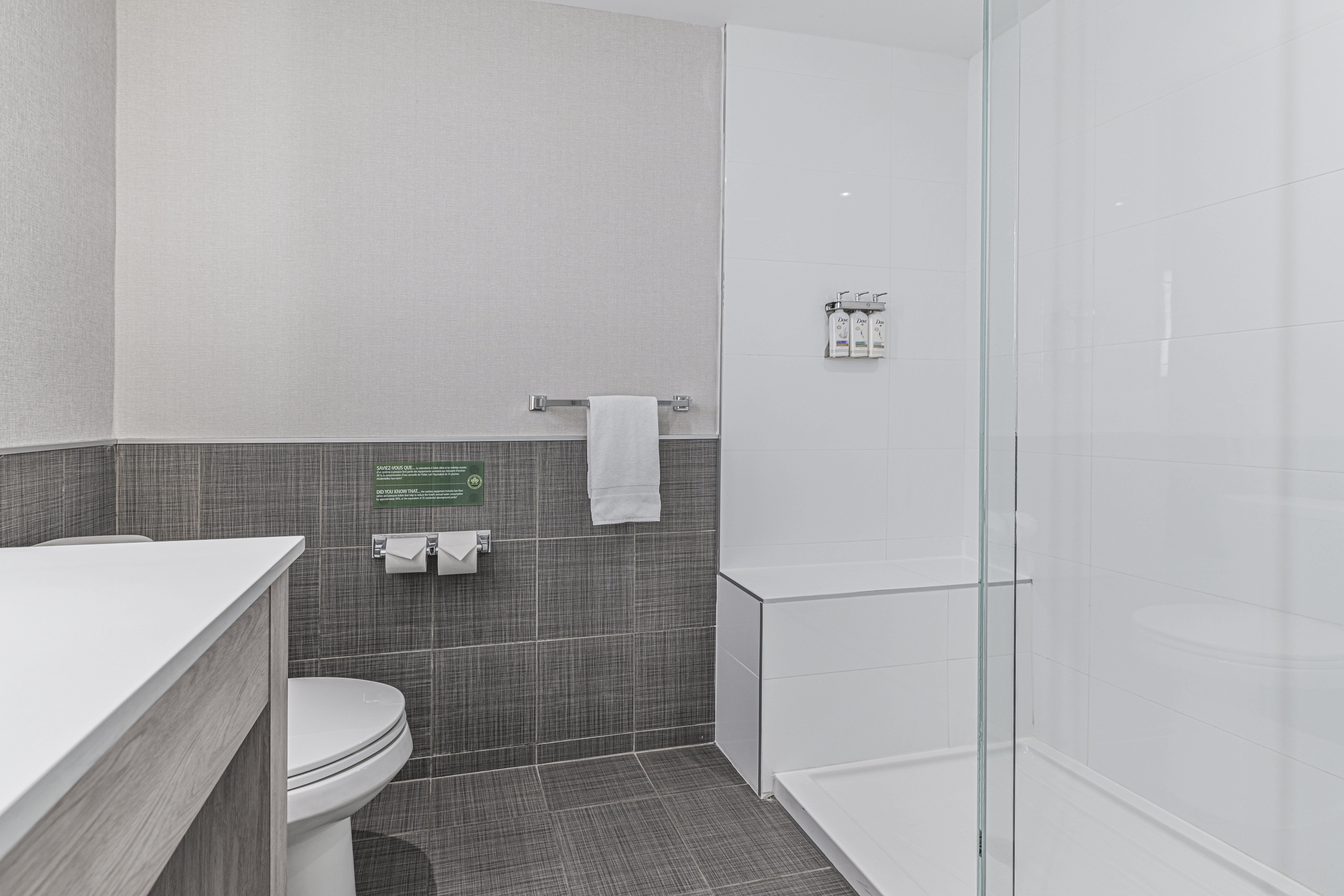 Holiday Inn Saint Hyacinthe 73/74