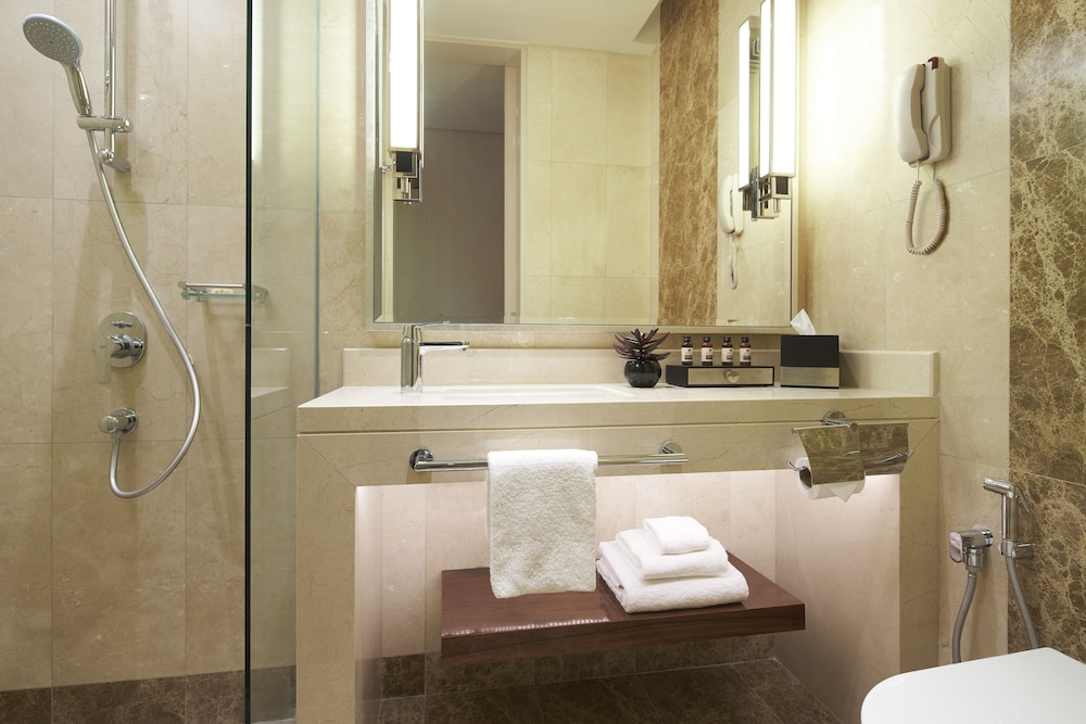 Holiday Inn Singapore Little India 18/71