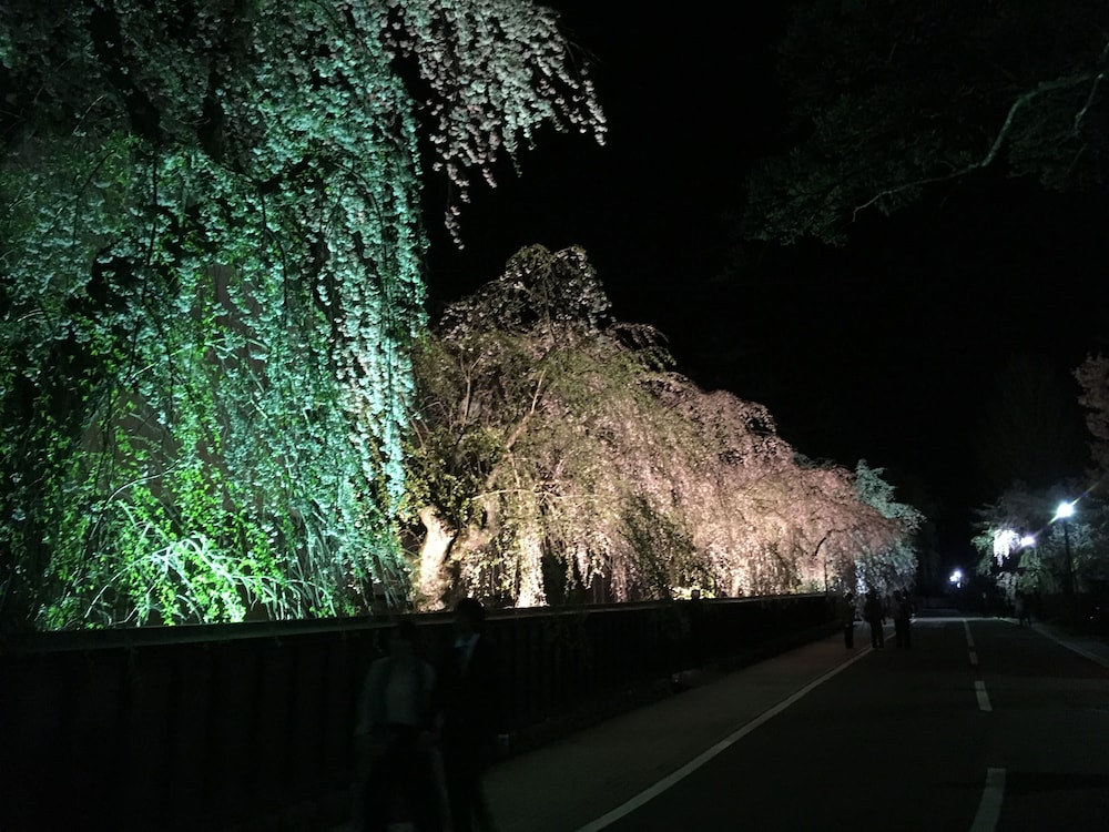 Akita Art Village Onsen Yupopo 10/20